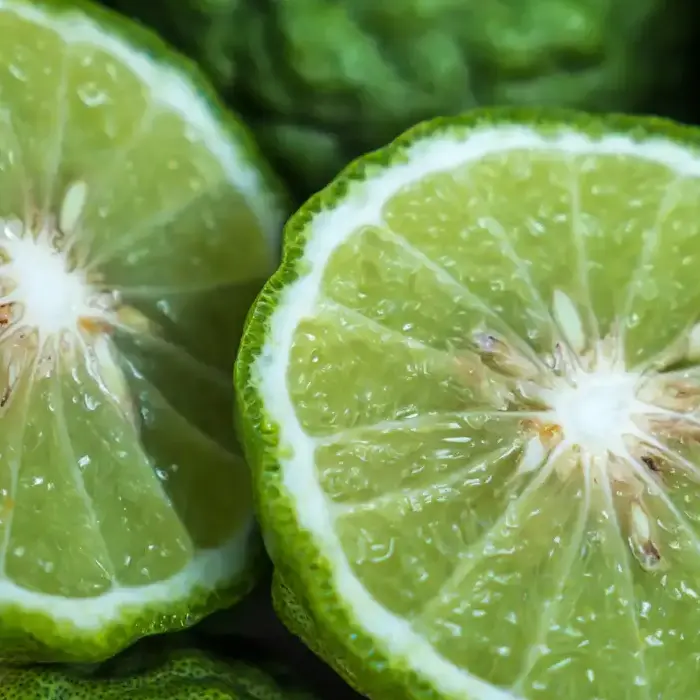 Bergamot