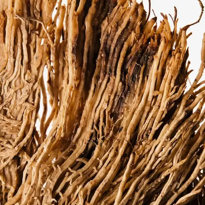 Vetiver