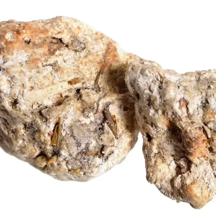 Ambergris