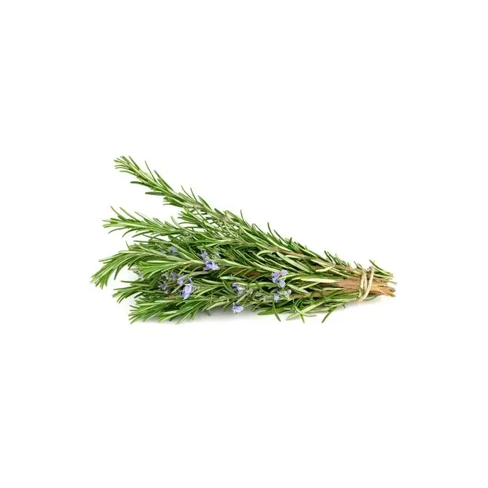 Rosemary