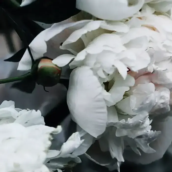 White Florals