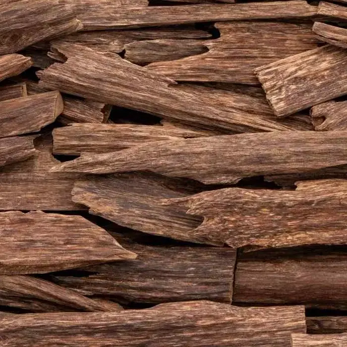 Oud