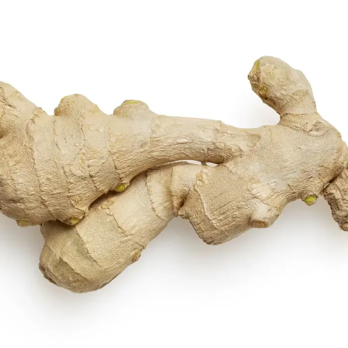 Ginger