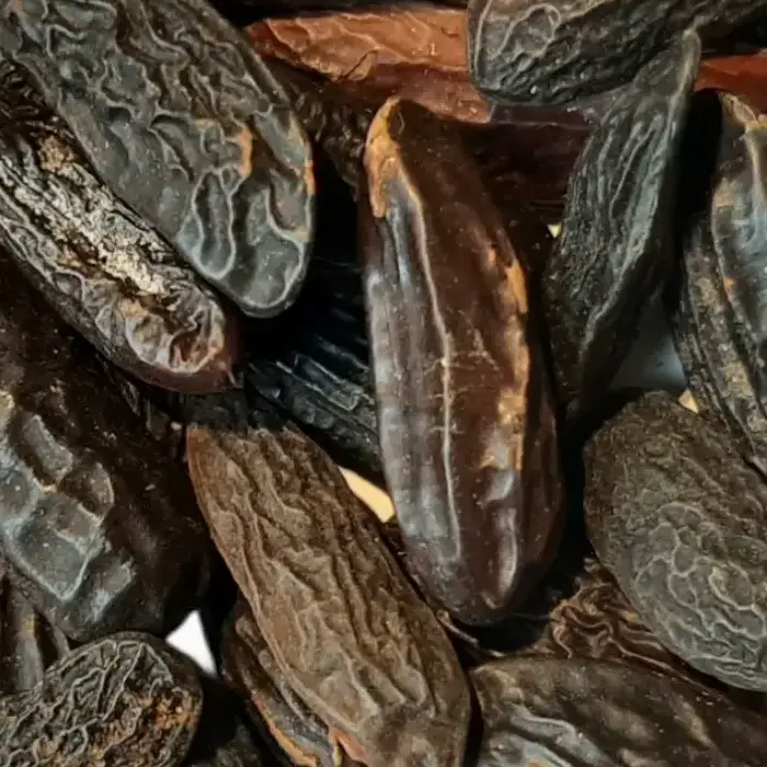 Tonka Bean